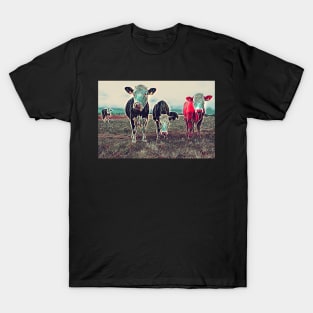 Curious Cows T-Shirt